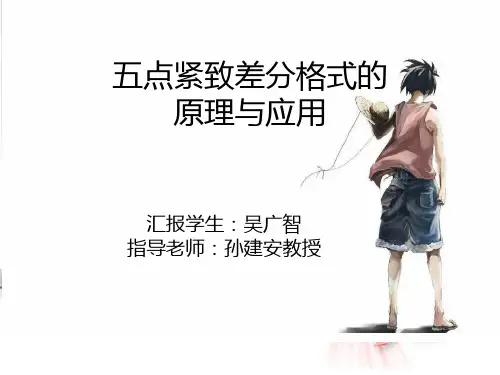 紧致差分格式报告