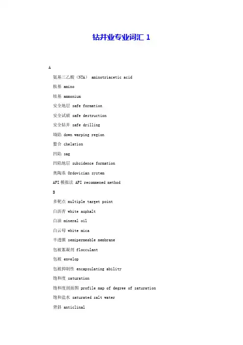 钻井业专业词汇1 