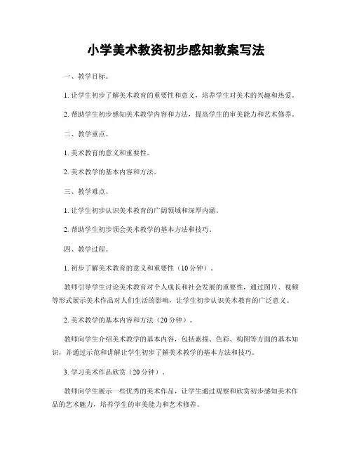 小学美术教资初步感知教案写法