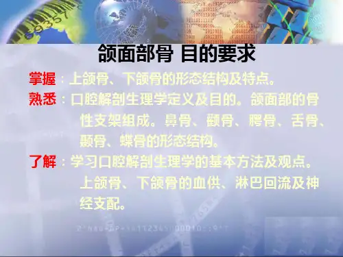 王美青口腔解剖学颌面部骨PPT课件