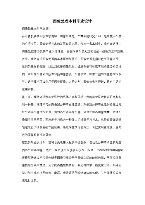 图像处理本科毕业设计