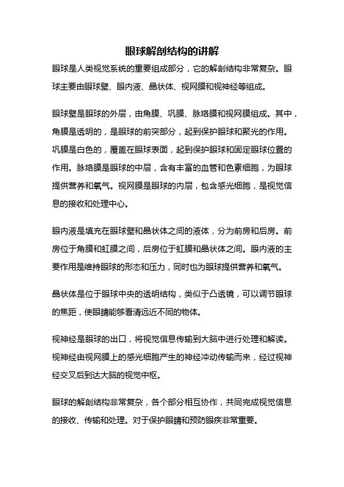 眼球解剖结构的讲解