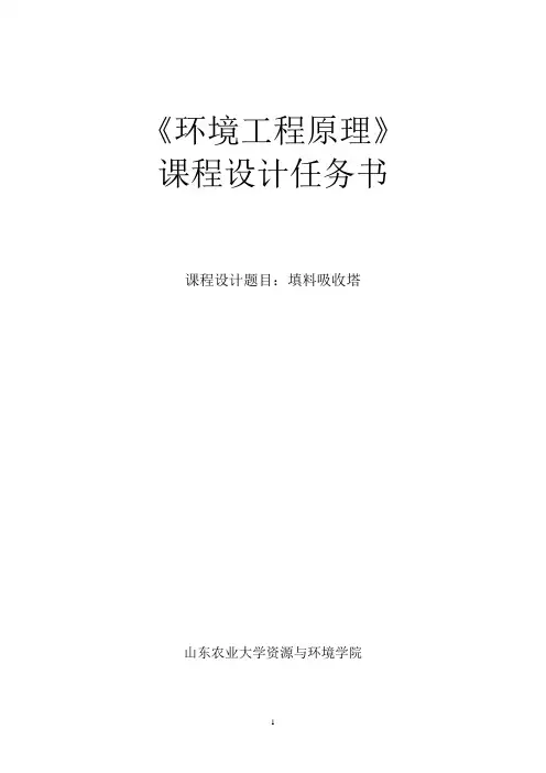 填料吸收塔-环境工程的课程设计