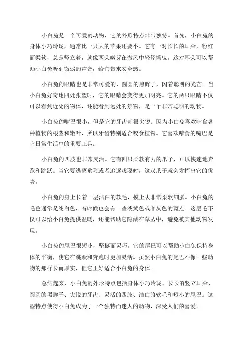 二年级写小白兔的外形特点