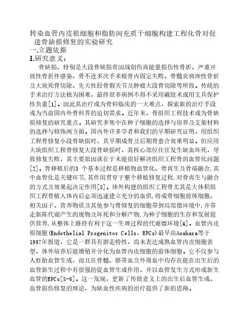 工程化骨对促进骨缺损修复的实验研究