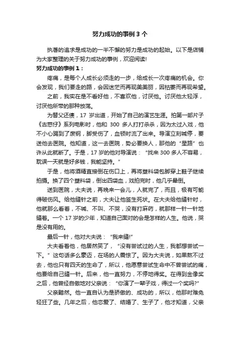 努力成功的事例3个