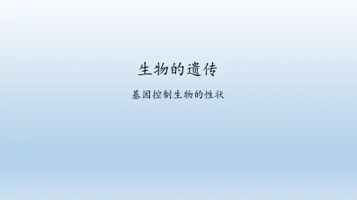 苏科版生物八年级下册：2 生物的遗传  课件