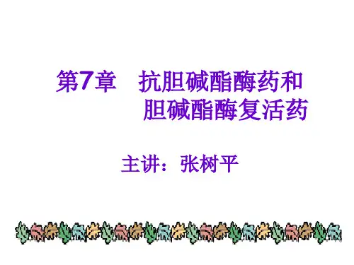第七章抗胆碱酯酶药和-32页PPT资料