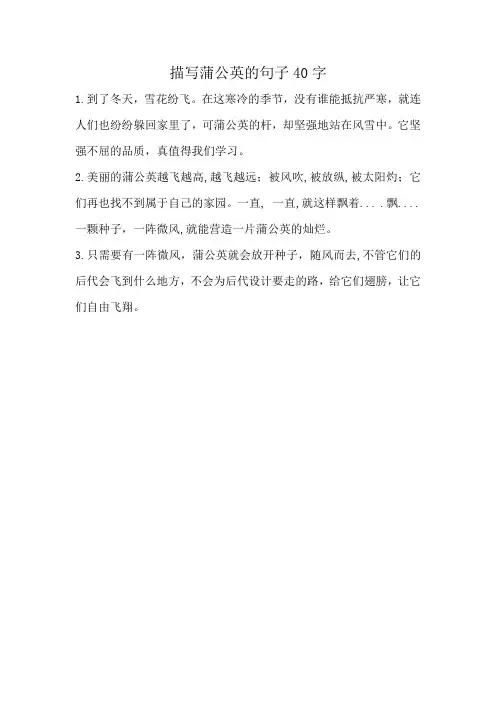 描写蒲公英的句子40字仿写鹅绒藤的写