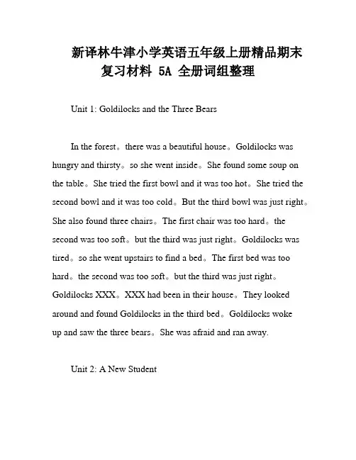 新译林牛津小学英语五年级上册精品期末复习材料 5A 全册词组整理