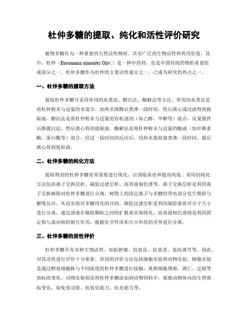 杜仲多糖的提取、纯化和活性评价研究
