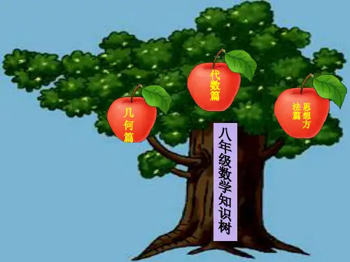 八年级数学知识树