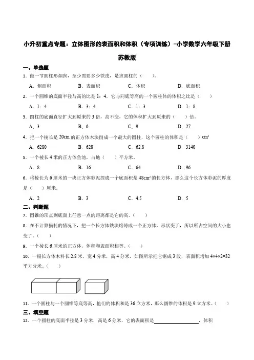 小升初重点专题：立体图形的表面积和体积(易错专项)-小学数学六年级下册苏教版