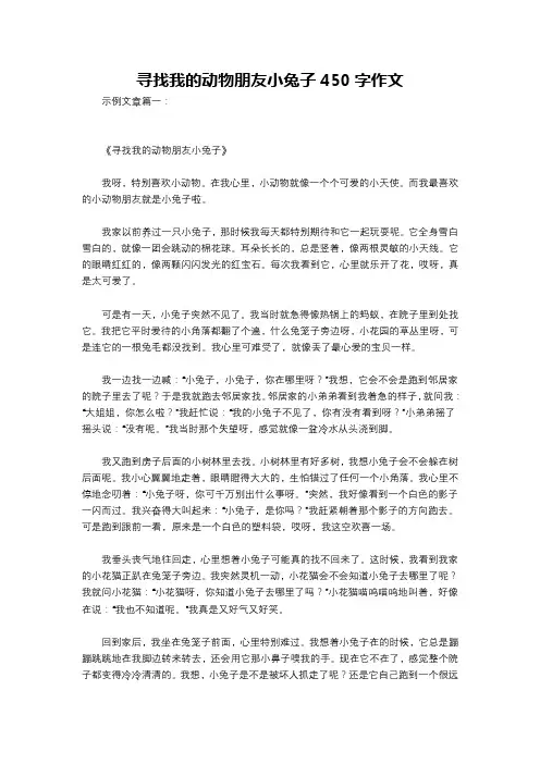 寻找我的动物朋友小兔子450字作文