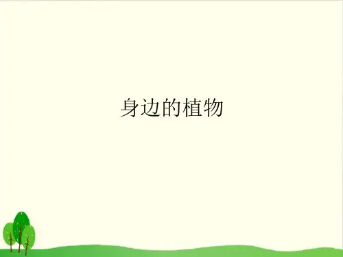一年级上册科学课件： 4 身边的植物：冀教版 (共13张PPT)