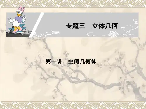 高三文科数学第二轮《立体几何》专题