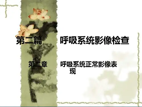 呼吸系统正常影像表现-PPT