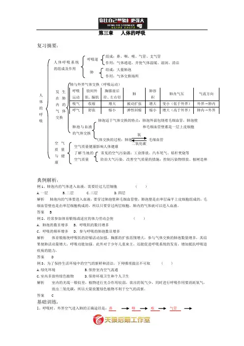 七年级生物人体的呼吸练习题.doc