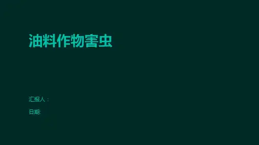 油料作物害虫