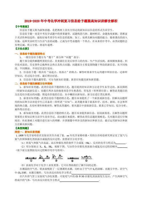 2019-2020年中考化学冲刺复习信息给予题提高知识讲解含解析