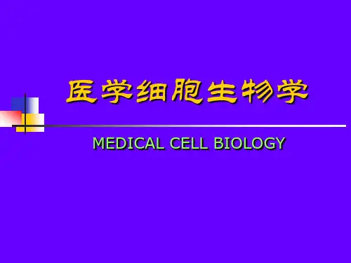 第六章线粒体