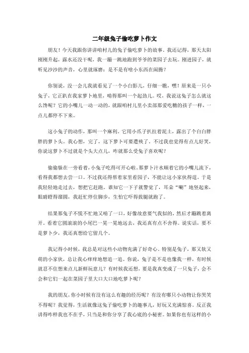 二年级兔子偷吃萝卜作文