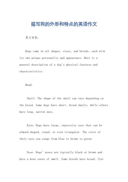 描写狗的外形和特点的英语作文
