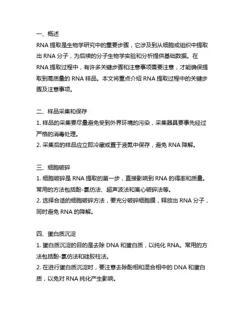 rna提取过程中的关键步骤及注意事项
