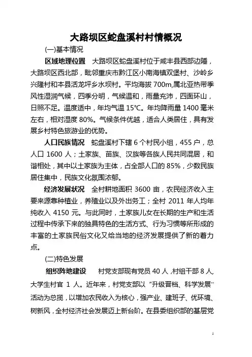 蛇盘溪村村情概况