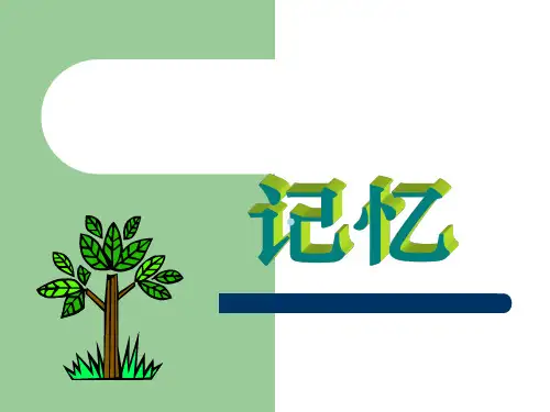 幼儿心理学教学课程幼儿记忆的培养ppt课件