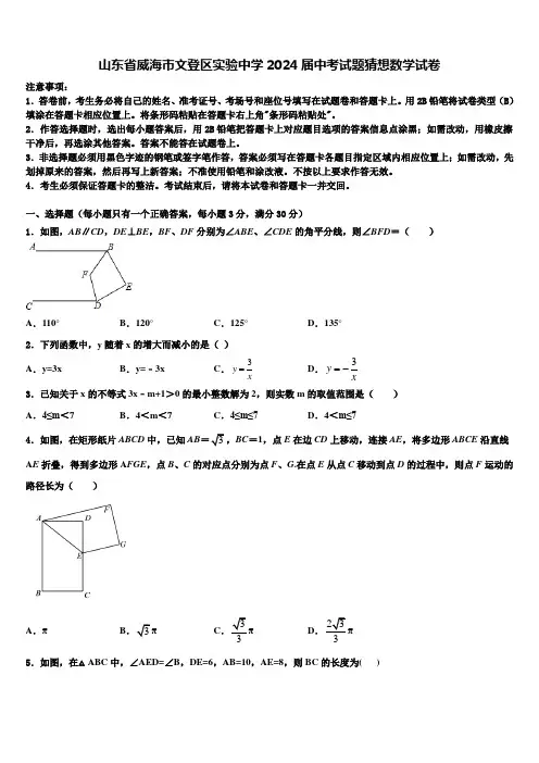 山东省威海市文登区实验中学2024届中考试题猜想数学试卷含解析