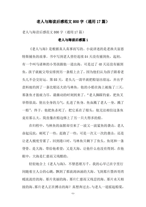 老人与海读后感范文800字(通用17篇)