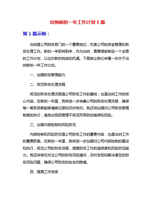 出纳新的一年工作计划5篇