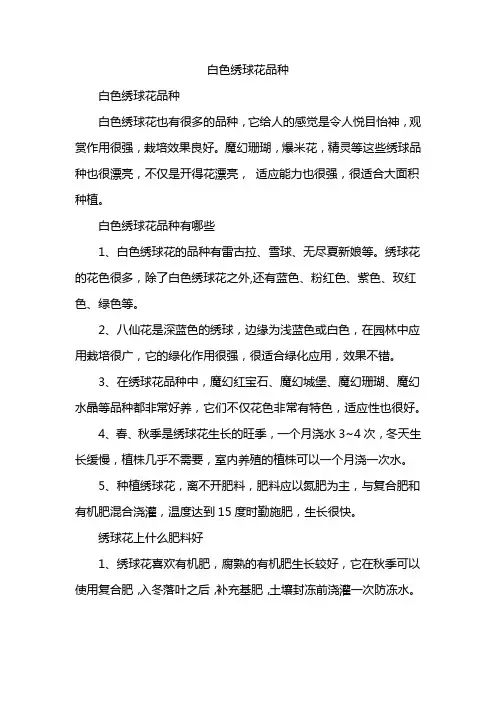 白色绣球花品种