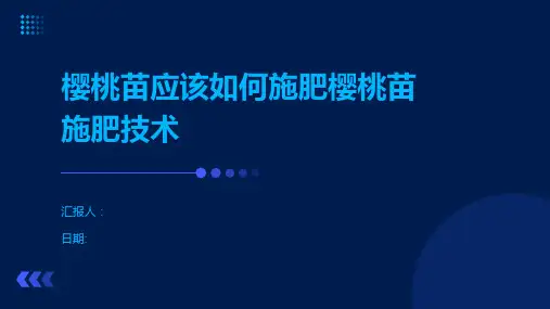 樱桃苗应该如何施肥樱桃苗施肥技术