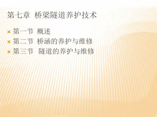 第七章  桥梁隧道养护技术PPT课件