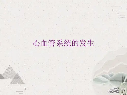 心血管系统的发生