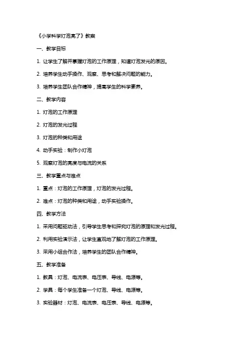 《小学科学灯泡亮了》教案