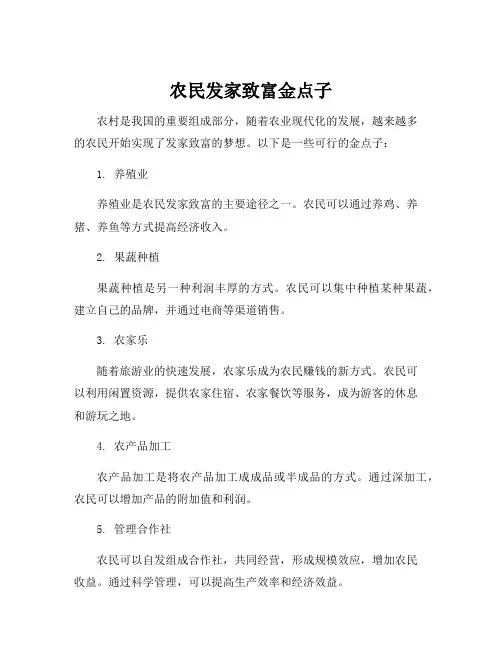农民发家致富金点子