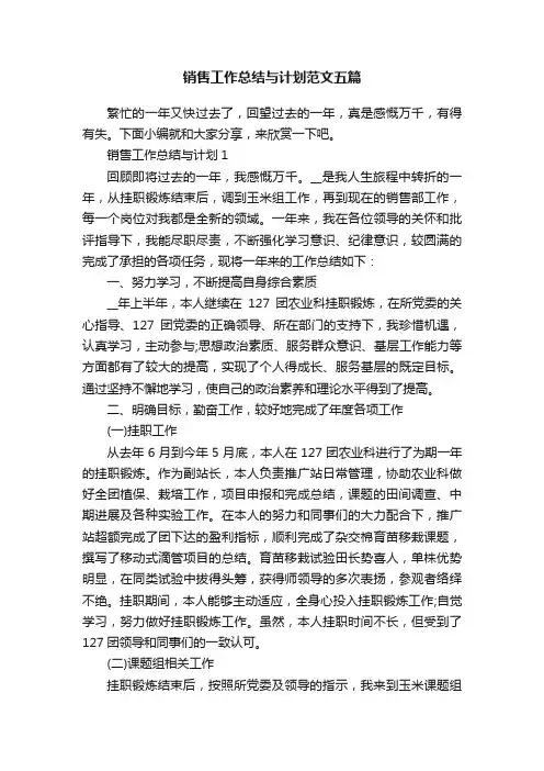 销售工作总结与计划范文五篇