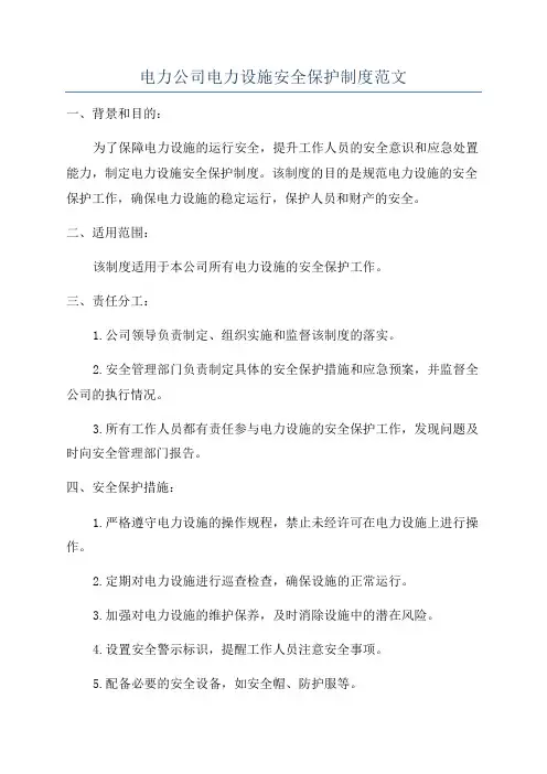 电力公司电力设施安全保护制度范文