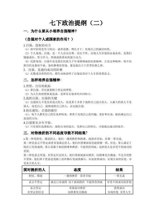政治提纲