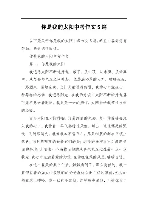 你是我的太阳中考作文5篇