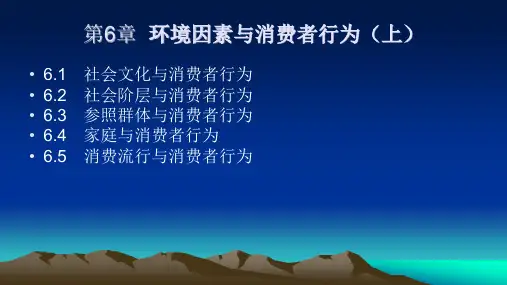 第6章 环境因素与消费者行为(上) 《消费行为学》PPT课件