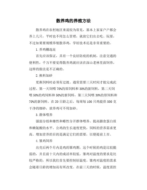 散养鸡的养殖方法