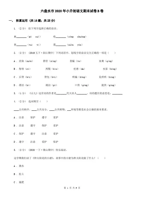 六盘水市2020年小升初语文期末试卷B卷精编