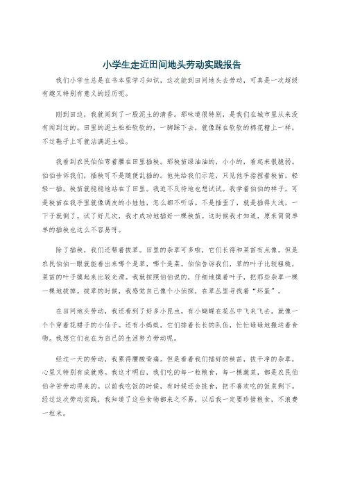 小学生走近田间地头劳动实践报告
