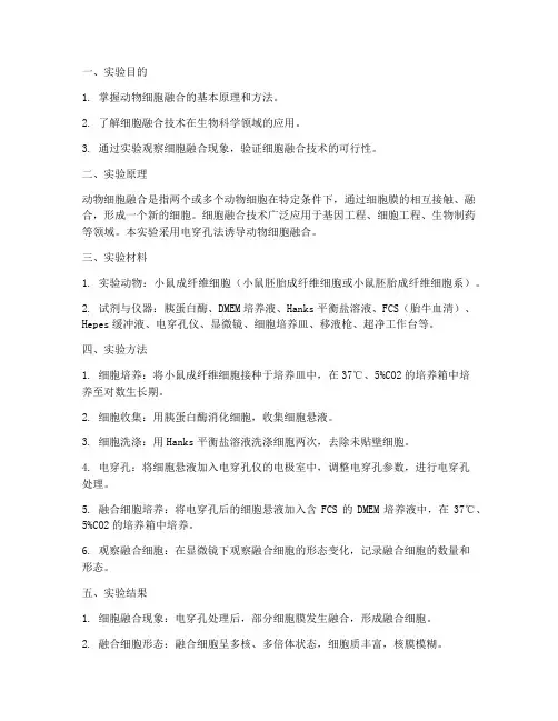动物细胞实验报告