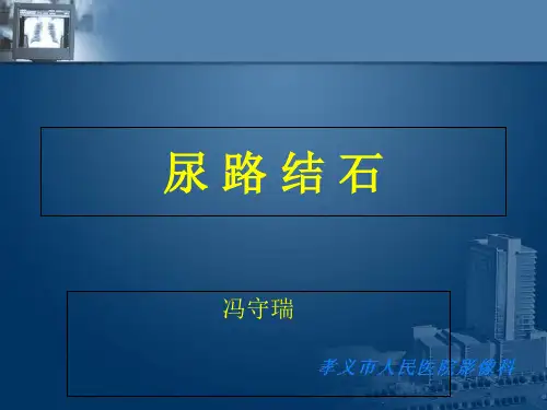泌尿系结石的影像诊断-PPT课件
