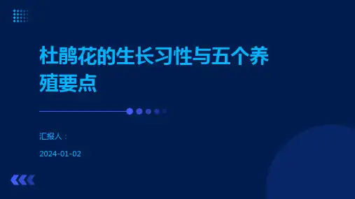 杜鹃花的生长习性与五个养殖要点